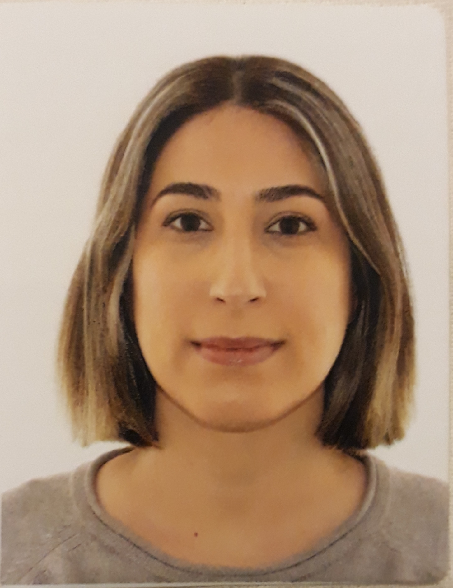 This image shows Sarvenaz Babakhani